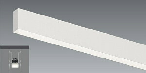 ERK9993WB_RAD684LB LEDx[XCg ENDO Ɩ@GhE@y3980~ȏ(ō)őz