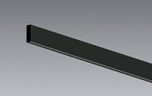 ERK1105B_RAD818LMA LEDx[XCg ENDO Ɩ@GhE@y3980~ȏ(ō)őz