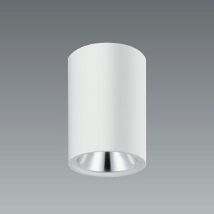 ERG5553W_RAD731N LED V[OCg ENDO Ɩ@GhE@y3980~ȏ(ō)őz