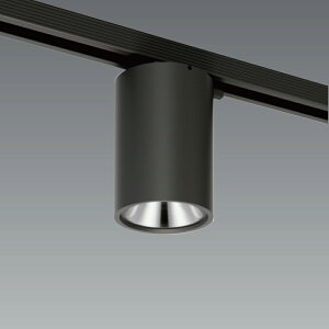 ERG5555B_RAD731N LED V[OCg ENDO Ɩ@GhE@y3980~ȏ(ō)őz