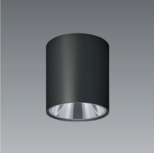 ERG5619B_FAD850F LED �V�[�����O���C�g ENDO �����Ɩ��@�G���h�E�@�y3980�~�ȏ�(�ō�)�ő��������z