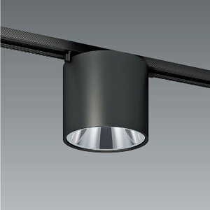 ERG5620B_FAD850F LED �V�[�����O���C�g ENDO �����Ɩ��@�G���h�E�@�y3980�~�ȏ�(�ō�)�ő��������z