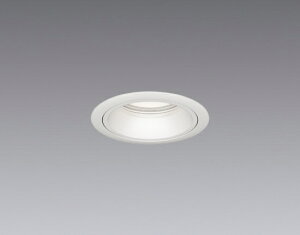 SXD1101W LED _ECg F 12000K-1800K  ENDO Ɩ@GhE@y3980~ȏ(ō)őz