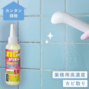 排水口 掃除 お風呂掃除 道具 カビ取り名人