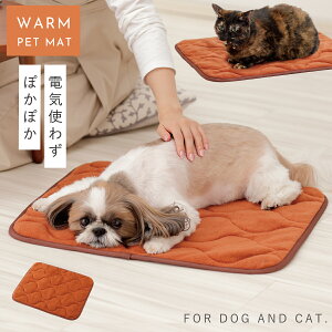 犬 あったか グッズ 電源不要 猫 あったかマット ペット用 マット ラグ 節電 省エネ 暖かい 保温 冬 アルミシート 中綿 暖暖あったか快適ペットパッド 45×53