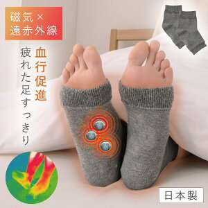 T|[^[ C T|[^[yǗË@zsP J T|[^[ ₦  ԊO Y VN ߂ ₦΍ ₦ { ԃVNCT|[^[  