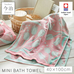 ~joX^I   k 킢 ԕ 40×100cm ^I { 100% Y ₷ ӂӂ  ^Iuh ~joX^I `[bv