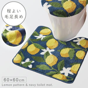 gC}bg 60×60cm 􂦂 ׂ~ ~ ӂӂ ӂӂ k ё gC CeA  M[gC}bg VgX  t[c