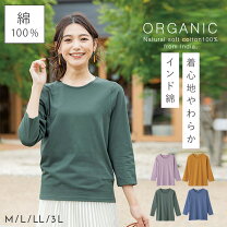 楽天市場】七分袖（ネックラインUネック）（Tシャツ・カットソー 