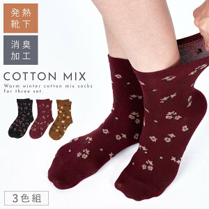   C fB[X y3Fgz 22-25cm zM L ԕ H~ ~ g y SȂ ݂ȗSn z ܂Ƃߔ 3  邢 S ߕtȂ  