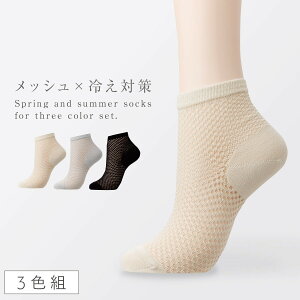 ₦ C fB[X ėp y3Fgz 22-25cm zM [΍  bV Ȃ ʋC   ܂Ƃߔ 3  ⋭ v y KȗSnEČC z [΍ܐ