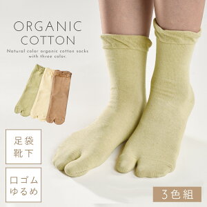   ܃\bNX C fB[X y3Fgz22-25cm I[KjbNRbg t  y SȂ ݂ȗSnz 邢  S ߕtȂ ނ 