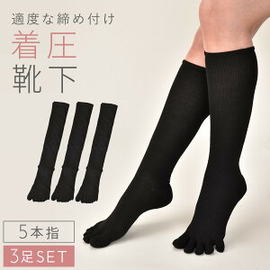 \bNX fB[X 3g ܖ{w\bNX nC\bNX ubN  x[W ̂ނ  ӂ͂ ҂tBbg5{wnC\bNX