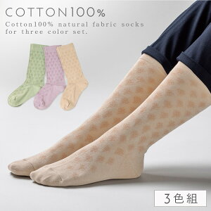   C fB[X 100 y3Fgz23-24cm t 䒷 YȂ y SȂ ݂ȗSnz  邢  S ߕtȂ ނ   VjA