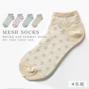   Xj[J[\bNX C fB[X y4Fgz22-25cm Ԃ ėp   Ȃ y SȂ ݂ȗSnz  S ߕtȂ 