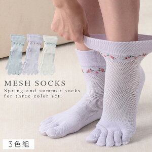   5{w\bNX C fB[X y3Fgz22-25cm ܖ{w ėp bV   ԕ ܂Ƃߔ y SȂ ݂ȗSnz 邢  S ߕt