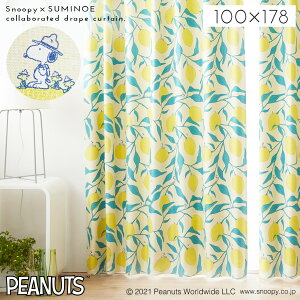 Xk[s[ J[e Ռ 100×178cm ՌJ[e PEANUTS s[ibc Snoopy CeA k  CG[ Lv h[v 1 { 􂦂  `LH X~mG SUMINOE 