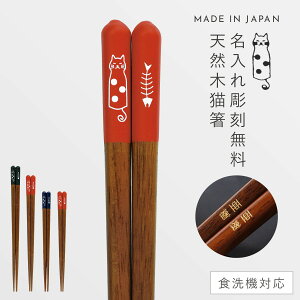    H@Ή 23cm L 킢  VR ؐ R  ׂ { ƂڂL 