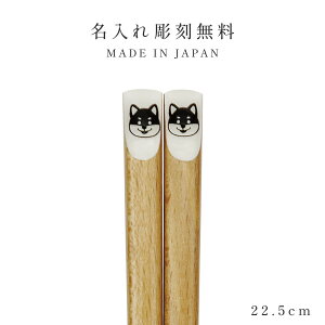   q LbY 18.0cm 22.5cm qp lp k 킢  { Mono l Ƒ   Aj} ǂ VR ؐ ǂ LbY  Aj} ct wZ 