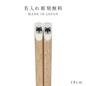   q LbY 18.0cm 22.5cm qp lp k 킢  { Mono l Ƒ   Aj} ǂ VR ؐ ǂ LbY  Aj} ct wZ 