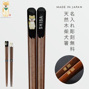   23.0cm l j  k 킢  { VČ  lp l Ƒ  Č ObY  Aj} VR ؐ Ƒ vw e Mtg v[g 蕨 j