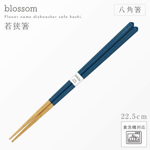  H@Ή p 22.5cm p` ዷ  { ɓ p̔ ubT  A[XJ[ ݃J[ Jt 킢 VR ƒp lp jp p  M