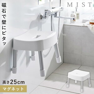 CCX 25cm C ֎q Jr Ȃ CX }Olbg oX[ C R ~Xg }OlbgCCX ~Xg SH25