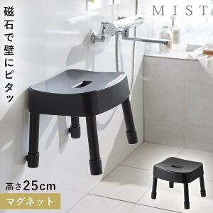 CCX 25cm C ֎q Jr Ȃ CX }Olbg oX[ C R ~Xg }OlbgCCX ~Xg SH25