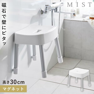 CCX 30cm C ֎q Jr Ȃ CX }Olbg oX[ C R ~Xg }OlbgCCX ~Xg SH30