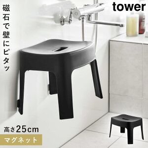 oX`FA }Olbg  25cm CCX tower R }OlbgCCX ^[ SH25