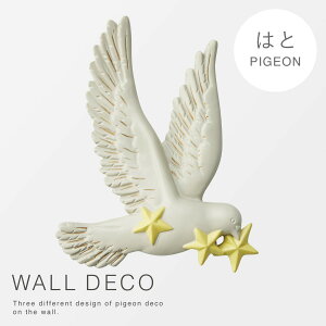 EH[fR EH[A[g Ǌ| A[g ؍ k CeA G Ǐ   EH[fR ng