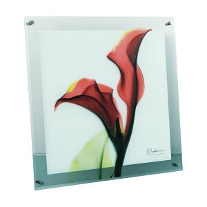 x-ray A[gt[ LoXA[g  A[gpl _  Ǌ|  CeA A[g G t[t t[t EH[A[g X-RAY Glass Art KXA[g MTCY