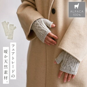  wȂ fB[X  킢  tFAg[h ApJ ApJ100 23A͗lw