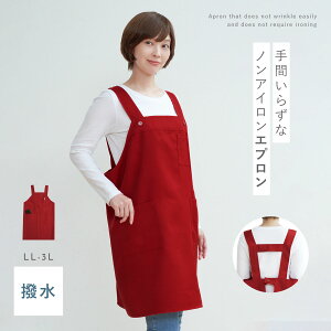 Gv  AC sv m[AC |GXe100 jp fB[X Y l 傫TCY 傫  |Pbg 2|PbgtGv