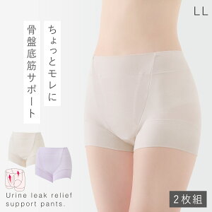 Ւ V[c fB[X AR z zV[c 2Fg ARpc p A 傢R VjA  Ւ؈SV[c