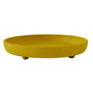 v^[ 󂯎M M ی^ 6 AeB[N  O vX`bN Aؔ 󂯎M  M gardens psG GRv[gی^ 6 K[fjO K[f G