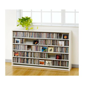 cdbN cd [ X e  I[NX CDXgbJ[ CS695L ԕis ԕis