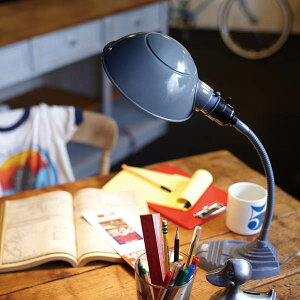 OLD SCHOOL DESK LAMP ydz