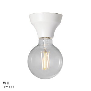 Adam ceiling light A_V[OCg ydʔzyLEDΉzy֑On-OSz