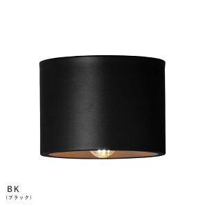 Eve ceiling light CuV[OCg ydʔzyLEDpzy֑On-OSz