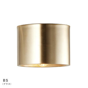 Eve ceiling light CuV[OCg ydʔzyLEDpzy֑On-OSz
