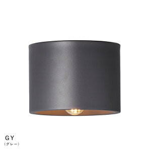 Eve ceiling light CuV[OCg ydʔzyLEDpzy֑On-OSz