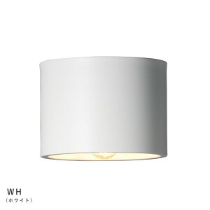 Eve ceiling light CuV[OCg ydʔzyLEDpzy֑On-OSz