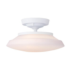 Graph LED-remote ceiling light Ot LED [gV[OCg zCgyLEDzy֑On-OSz