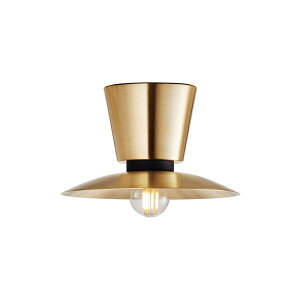 Probe-ceiling light S v[uV[OCg S uXydʔzyLEDΉzy֑On-OSz