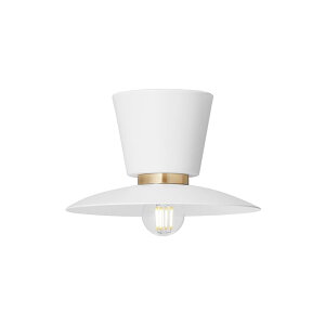 Probe-ceiling light S v[uV[OCg S zCgydʔzyLEDΉzy֑On-OSz