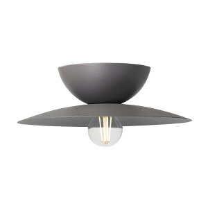 Probe-ceiling light L v[uV[OCg L ydʔzyLEDΉzy֑On-OSz