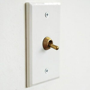 AXCIS ANVX Z~bN AJ tH[ XCb`v[g ƖXCb` mx[V Vz AeB[N Z~bNv[ggOXCb` zCg @0052-zk-hs2937