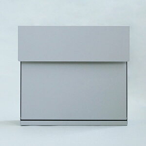 AXCIS ANVX _CVv|Xg CgO[