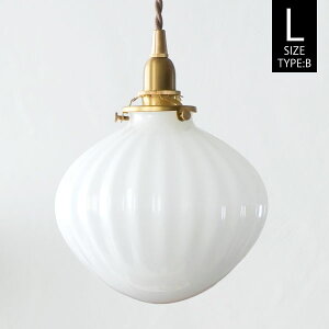 AXCIS ANVX yVF[hṔz KXVF[h tNg L zCg yFB^Cvz